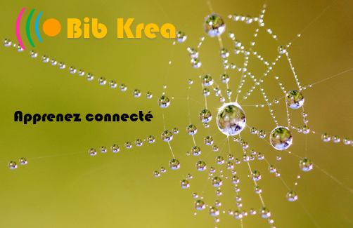 bib-krea-bibkrea-BIBKREA slogan-conception-formation-en-ligne
